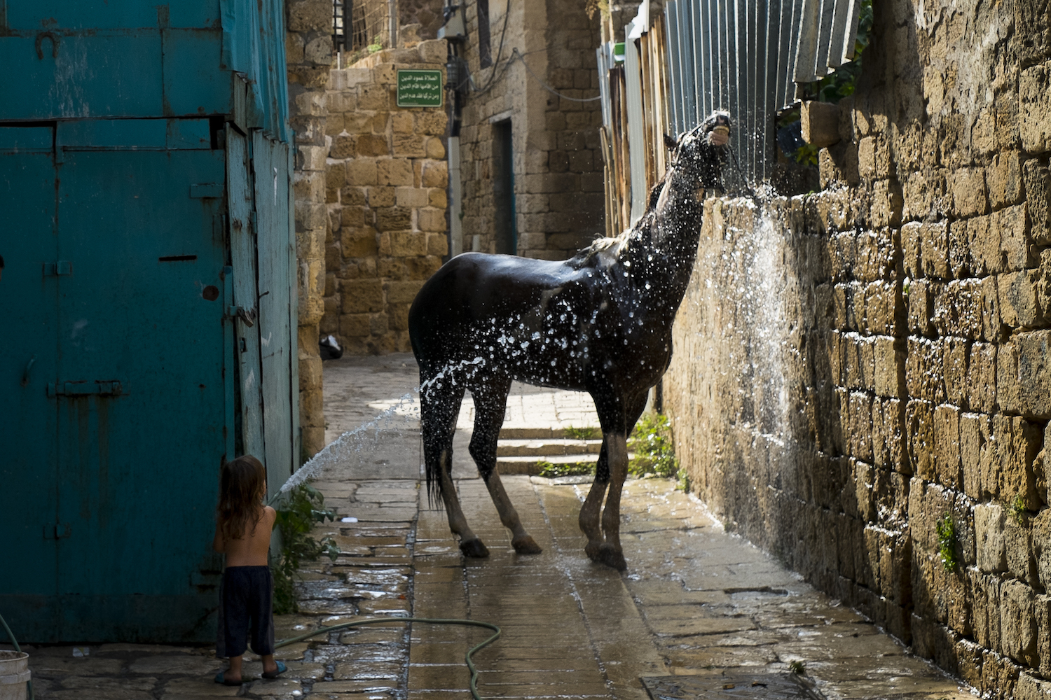 Street photography workshops in Israel and Barcelona 2022